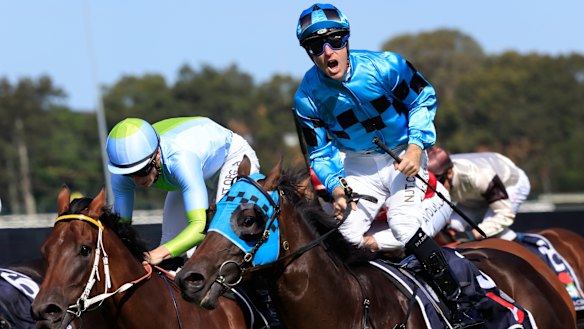 Tommy Berry is jubilant after winning the Rosehill Guineas on Mo’unga in March.
