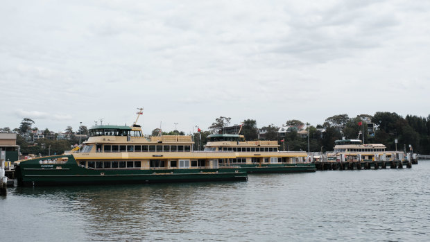 The three new Manly ferries tied up at the Balmain Shipyards.