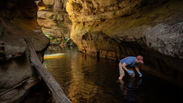 Water scientist Ian Wright takes a water sample near Lake Medlow in the Blue Mountains.