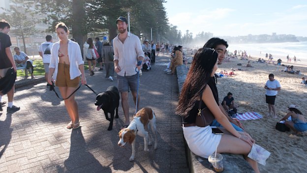 Hive of activity: The action begins at dawn and continues throughout the day at Manly Beach.