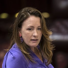 Greens MP Abigail Boyd.