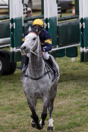 Playing catch-up: Chautauqua wobbles to the outside as he begins his pursuit.