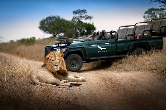 Phinda Rock Lodge, South Africa.