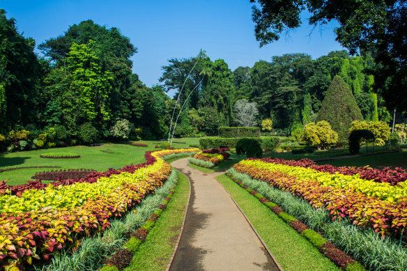 Part of the Peradeniya Royal Botanical Gardens.