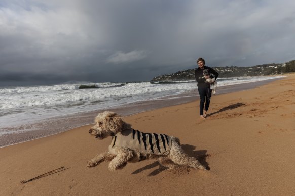 Michelle Robertson with dogs Maddie and Bertie on North Palm Beach.