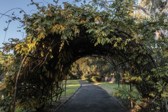 An oasis in the urban jungle: Wistaria Gardens in Westmead, just across the river from North Parramatta.