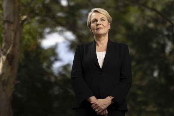 Environment Minister Tanya Plibersek faces hard decisions as the government balances competing environmental aims of lowering carbon emissions and avoiding extinctions.