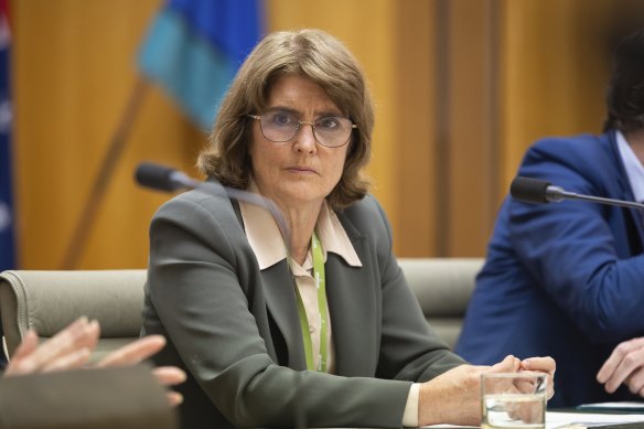 Reserve Bank governor Michele Bullock has a dilemma.