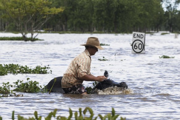 Roads around Grafton have been rendered waterways. 