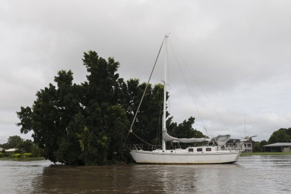The boat that had broken free from its mooring was snagged in a tree.