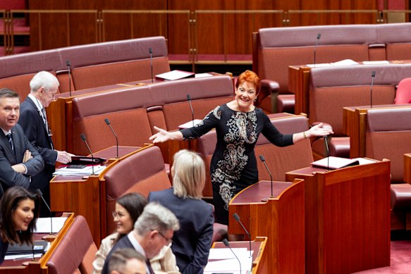 Hanson arrives at the opening of the Senate on Thursday, announcing to her colleagues: “You’ve all missed me”. 