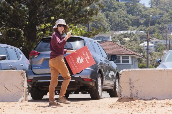 A woman removes public safety signage from Collaroy Beach.