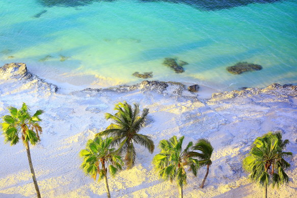 Mexico’s Caribbean coastline, where blinding palm-lined shores are lapped by a jewel-box turquoise seas.