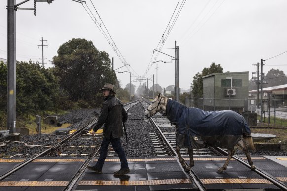 Horses are evacuated to higher ground in Richards in Sydney’s north-west, on Monday after low-lying properties in the area began to flood.