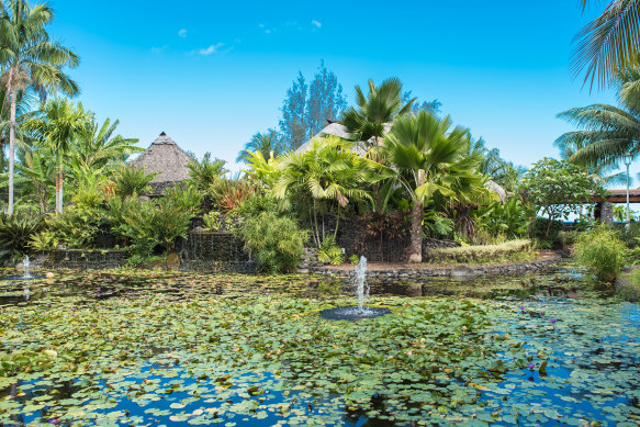 Swap peak-hour chaos for the tranquility of Pa’ofa’i Gardens.