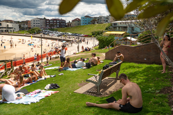 The expected break from the rain is expected to cause problems for hay fever sufferers. 