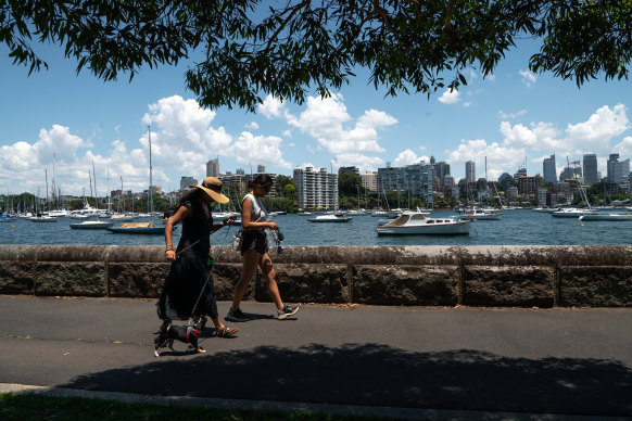 The median unit price in Rushcutters Bay is lower than five years ago.