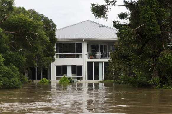 The Clarence River has swollen to the top of the Grafton town levee.