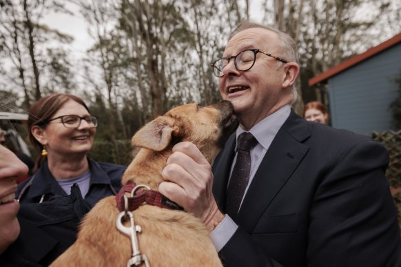 Prime Minister Anthony Albanese gets up close and personal with one of the residents of the Animal Welfare League in Kemps Creek. 