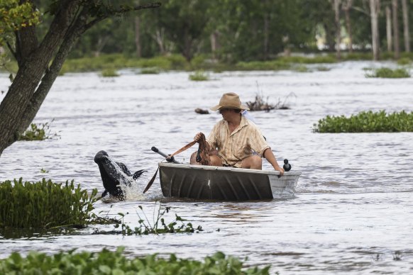 Local residents try to rescue a cow from floodwaters. 