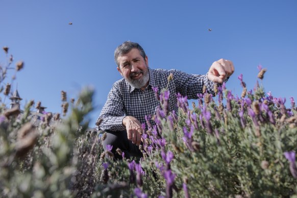 Ecologist Francisco Sanchez-Bayo at the Royal Botanic Garden.  