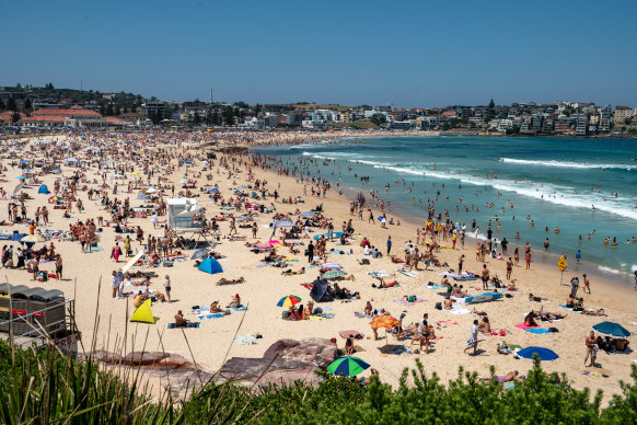 It really is great: Bondi Beach. 