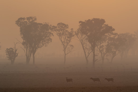 Smoke from the Gulf Road fire in Torrington, in the Tenterfield Shire, in November 2019.