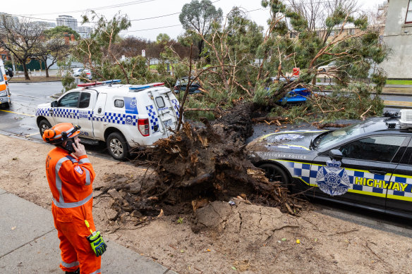 Johny Chhy narrowly escaped harm after a tree crushed his blue car in Footscray. 