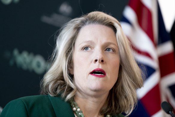 Home Affairs Minister Clare O’Neil has said the immigration system “isn’t fit for purpose”. 