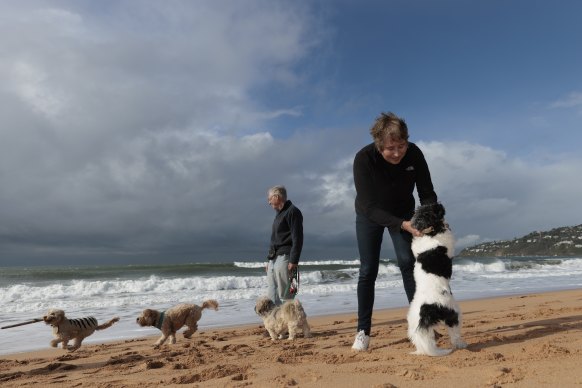 Michele Robertson, pictured with her dog Maddie at North Palm Beach, said Sydney’s northern beaches lacked green open space, but had plenty of foreshore.
