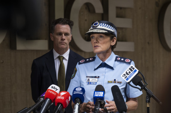 Karen Webb says the alleged murder is no “isolated incident” amid rising domestic violence crimes in NSW. 