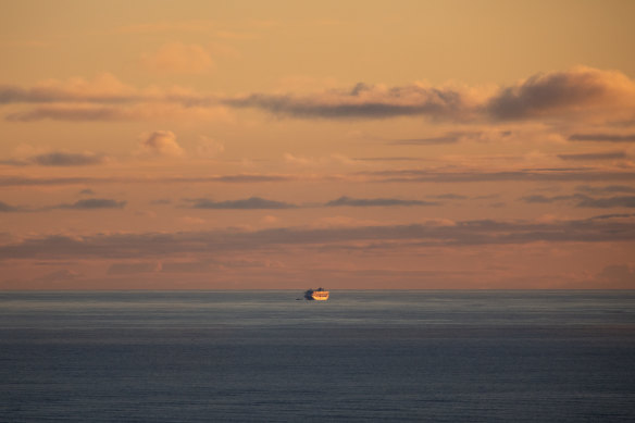 All at sea: The Grand Princess off the coast of San Francisco on Saturday as it awaited clearance to dock in the US.