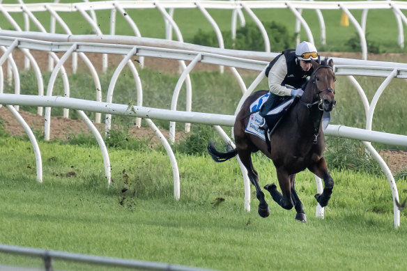 Kerrin McEvoy rides Deauville Legend during track work. 