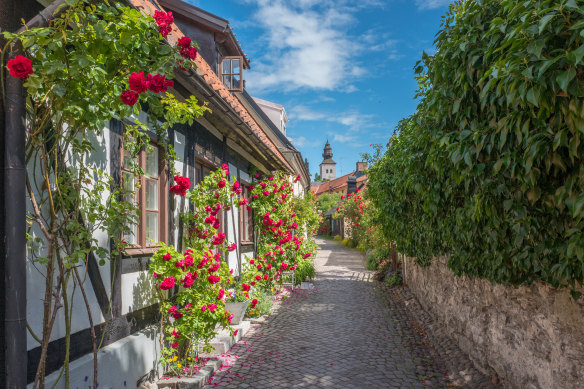 Roses grow on the walls in a medieval alley.