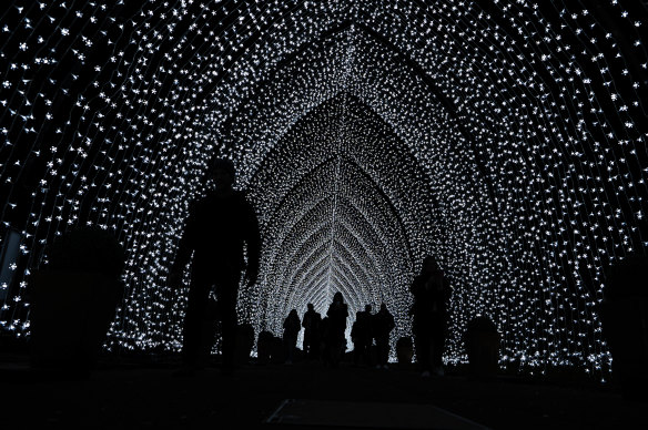 Inside the Royal Botanic Garden’s Lightscapes. 