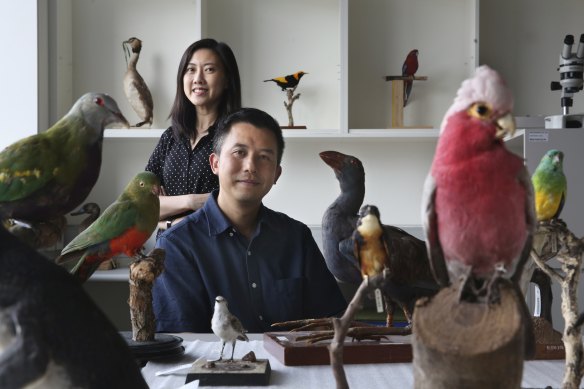 Evolutionary biologist Professor Simon Ho (right) and bird paleontologist Dr Jacqueline Nguyen.