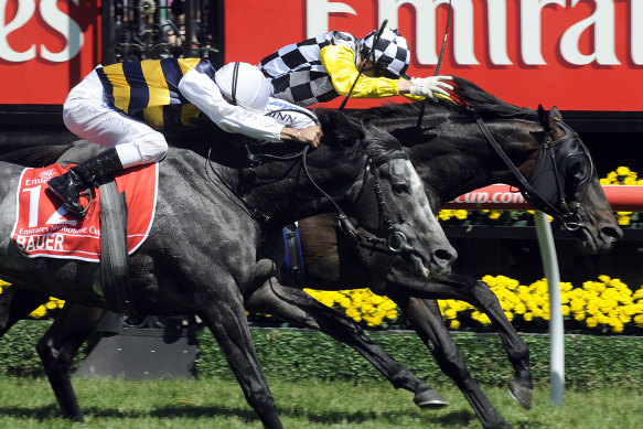 OTI's Bauer was narrowly defeated by Viewed in the 2008 Melbourne Cup. 