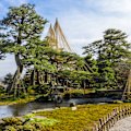 No one does gardens like the Japanese.