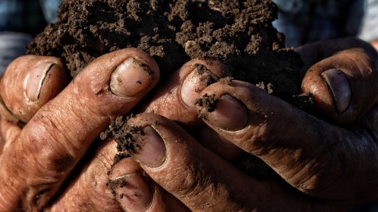 Farmer Scot McCalman on his Liverpool Plains property north west of Gunnedah. He has concerns over possible gas survey by SANTOS in the region with a renewed interest in CSG after a NSW power deficiency.