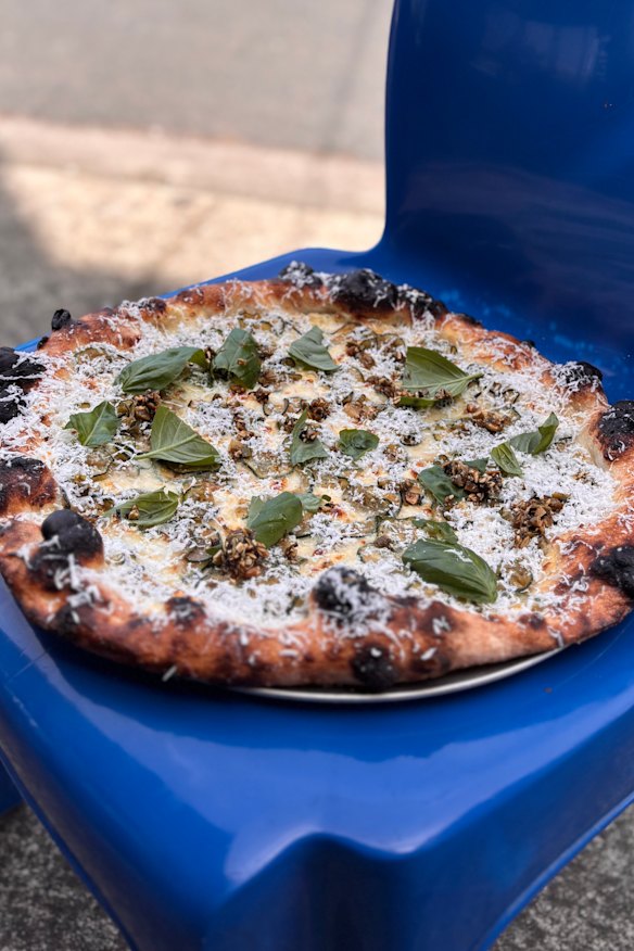 Lemon kosho ricotta, marinated zucchini, basil, ricotta salata, pepita and charred spring garlic salsa and olive oil.