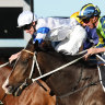 Newcastle trainer looks for cups near and far with imported stayers