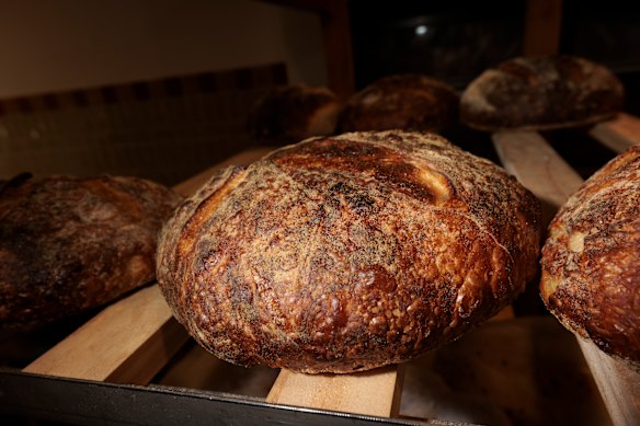White loaves.