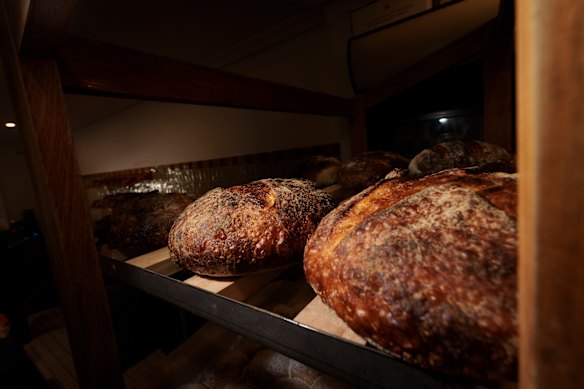 Sourdough loaves. 