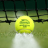 WTA ponders extending 2020 season once tennis resumes