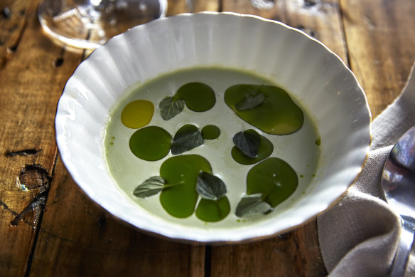 Sorrel vichyssoise (chilled potato and leek soup).