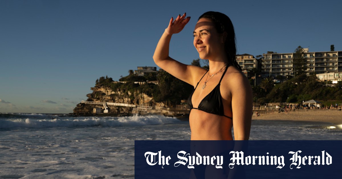 Shark nets to be removed from three Sydney beaches in controversial trial