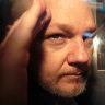 Superb film shows the real toll on Julian Assange’s wife and father