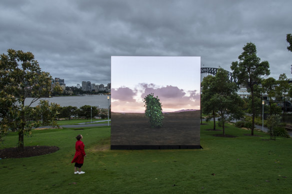 John Gerrard’s Leaf Work  (Derrigimlagh) on Stargazer Lawn at Barangaroo. 