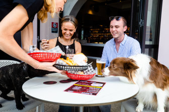 Our pets are family too – let’s welcome them in more venues.