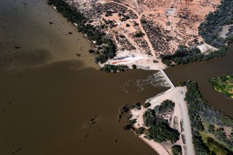 Darker deoxygenated water entering Pamamaroo. 
